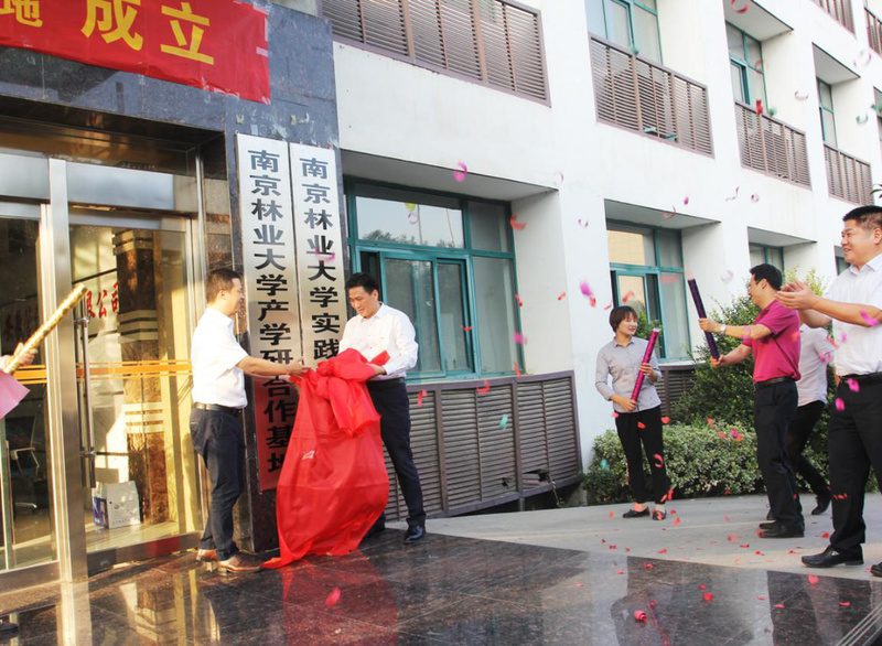 “南京林业大学产学研合作基地” “南京林业大学实践教学基地” 落地安徽管仲木业(图9)